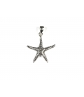 Colgante Plata Estrella de Mar 2,10cm