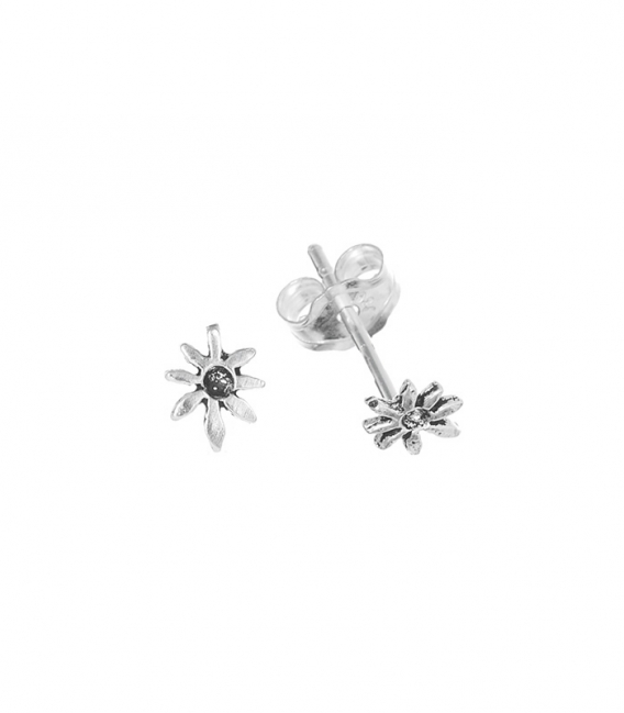 Boucles d'oreilles Argen Feuille Prix Paire