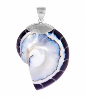 Pendentif Argent Coquillage Nautilus Noir 47mm