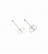 Boucles d'Oreilles Argent Boule. Prix paire