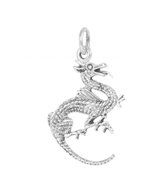 Pendentif Argent Dragon Chinois