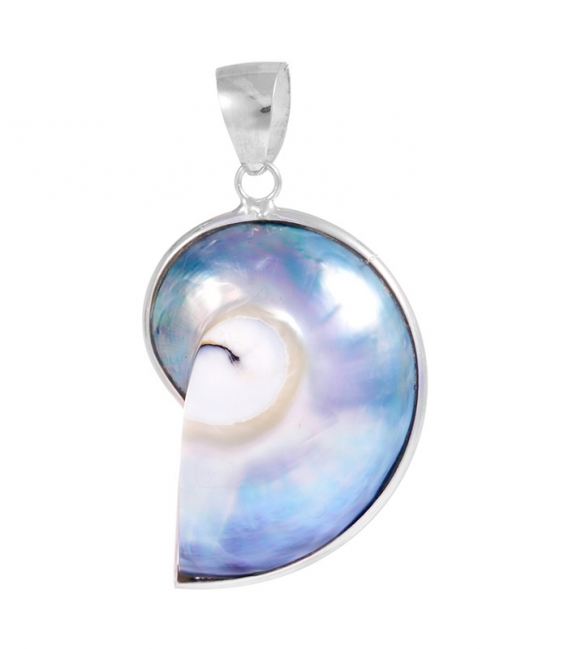 Pendentif Argent Coquillage Nautilus 33mm