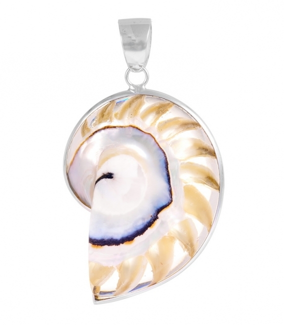 Pendentif Argent Coquillage Nautilus 33mm