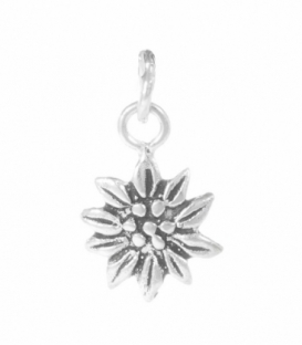 Colgante Plata Flor Edelweiss 13mm