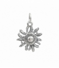 Pendentif Argent Eguzkilore 20mm