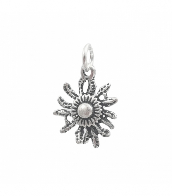 Pendentif Argent Eguzkilore 15mm