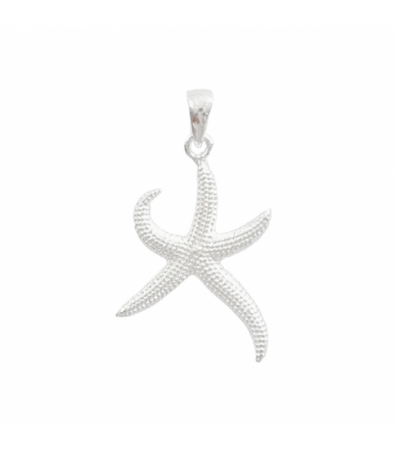 Pendentif Étoile de Mer en Argent 22mm