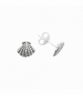 Boucles d'oreilles Coquillage